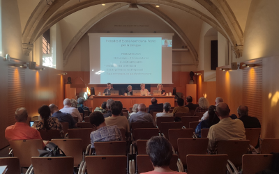 Quin és l’estat del català en els diferents territoris? Les delegacions de l’IEC ho analitzen al Ple