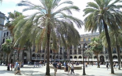 L’Ajuntament de Barcelona i l’Institut d’Estudis Catalans sumen forces per fomentar l’ús del català entre els joves